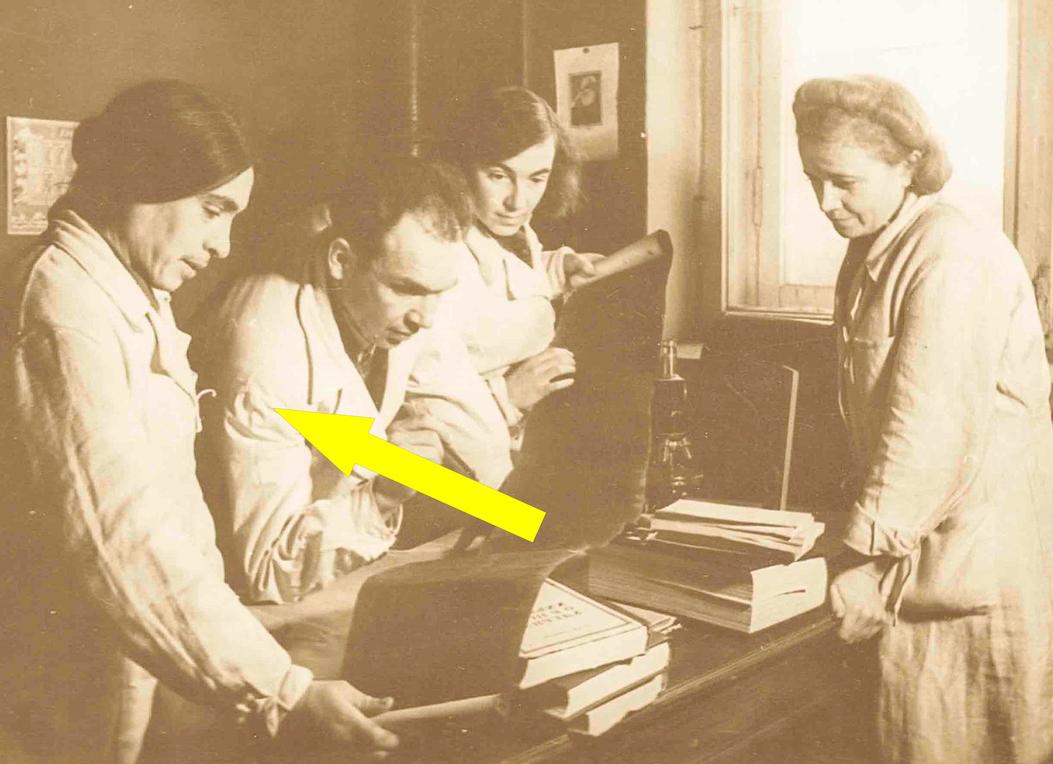 Зинаида Ермольева: Легенда блокадного Ленинграда и «Королева микробов»