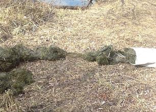 Физический вызов: Попробуйте пройти тест на знание величин! Данный тест по силам решить студенту ВТУЗа